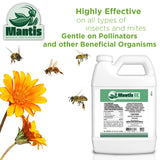 Mantis EC